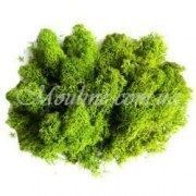 Сизаль и мох для декора