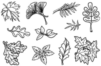 Набор прозрачных штампов 7101CS