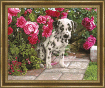 Ткань с нанесенным рисунком СБ-167, Чаривна Мить для вышивания бисером картин 