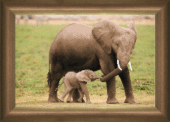 СБ-191 Схемы для вышивки бисером (ткань с рисунком)