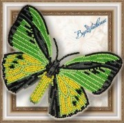 Набор для вышивки бисером на прозрачной основе Бабочка 020