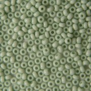 Бисер Preciosa натуральный 03162 5 г