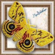 Набор для вышивки бисером на прозрачной основе Бабочка 060