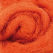 3008 Шерсть для валяния Новозеландская 