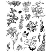 Набір прозорих штампів 4001CS