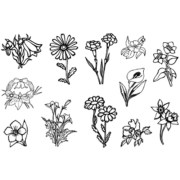 Штампи для скрапбукінгу 6201CS