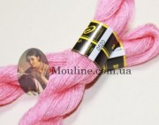 Мулине для вышивания Сударушка 520