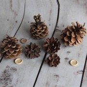 шишки сосновые для декора NW-200