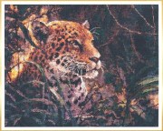 Набор для вышивания Чудесная игла 63-06 Ягуар