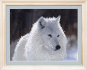 Ткань с нанесенным рисунком СБ-138, Чаривна Мить для вышивания бисером картин 