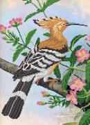 Вышивка бисером птица Удод РКП-278 ткань с рисунком