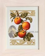 Набор для вышивания Luca-S 276 Ветка яблони