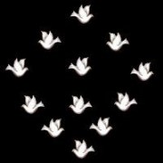 Декоративные украшений Голуби Dress It Up 4206