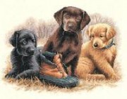 35188 Набор для вышивания DIMENSIONS Жевательная игрушка