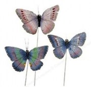 Бабочка декоративная