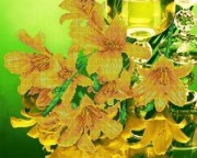 Рисунок на атласе для вышивания бисером