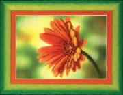 Набор для частичной вышивки крестом, Чарівна Мить РК-025