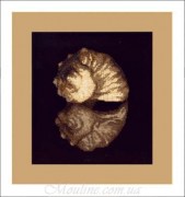 Набор для вышивания Чарівна Мить М-06 Морской дар