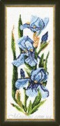 Набор для вышивания Золотое руно ЦК-003 Ирисы
