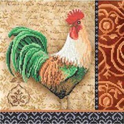 Канва з малюнком для вишивання бісером, Повітруля Т4 23, Зеленохвостий півень